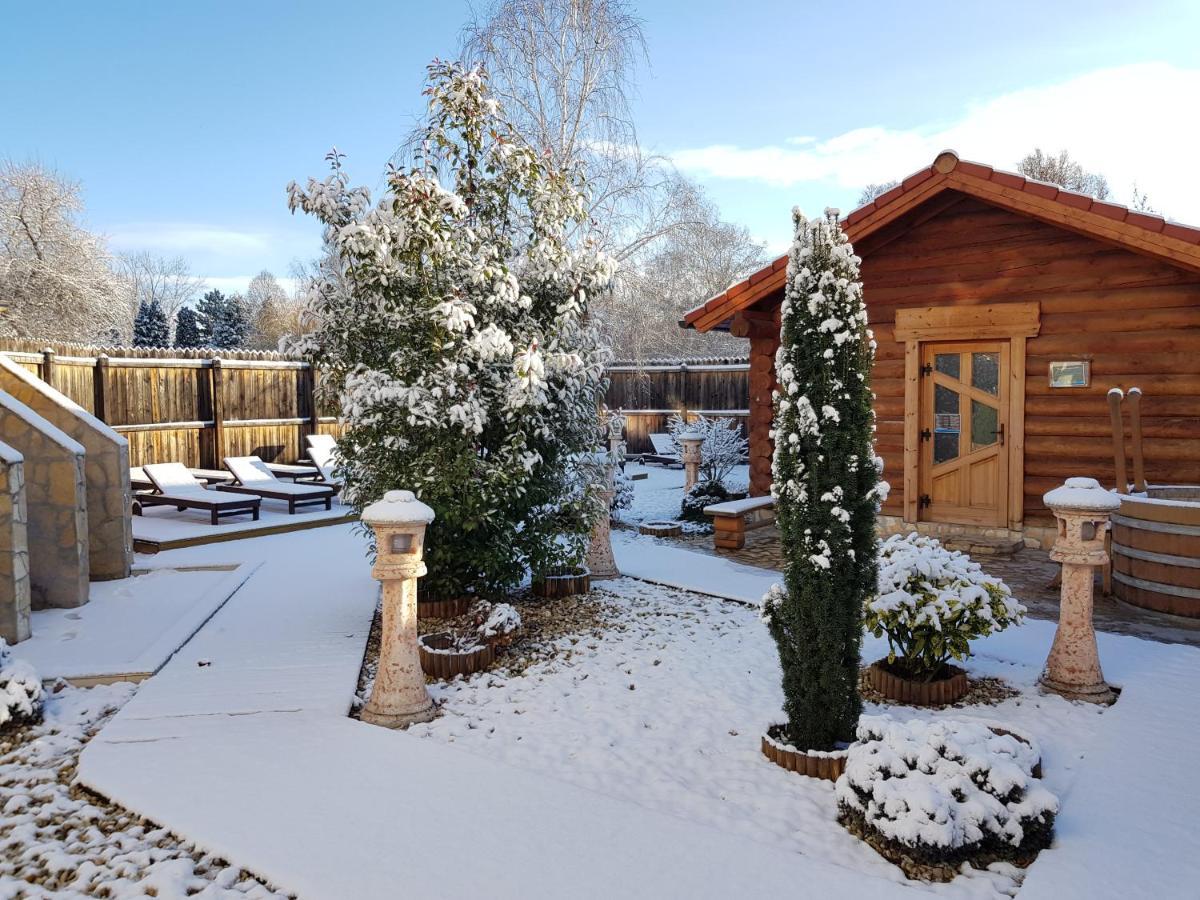 Thermal Apartmanhaz Komárom Buitenkant foto